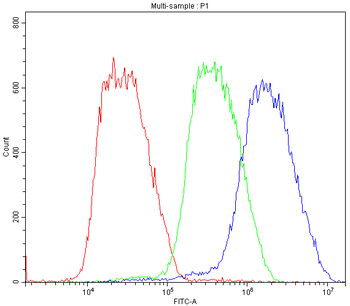 BMP6 Rabbit Polyclonal Antibody