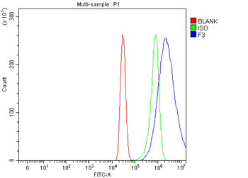 Tissue Factor/F3 Antibody