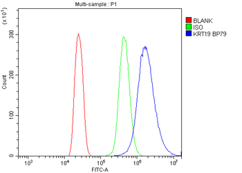 Cytokeratin 19/KRT19 Antibody