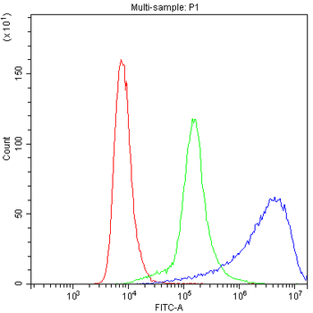 Myosin Phosphatase/PPP1R12A Rabbit Polyclonal Antibody