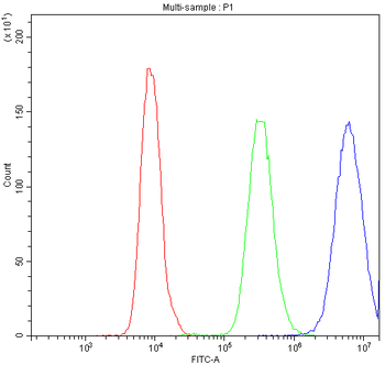 PPT1 Rabbit Polyclonal Antibody