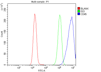 CD45/PTPRC Antibody