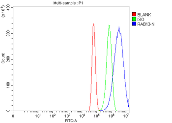 RAB13 Antibody