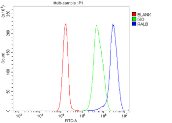 RALB Rabbit Polyclonal Antibody