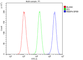 RbAp48/RBBP4 Antibody