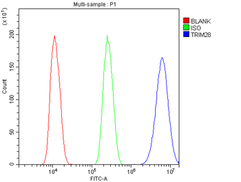 KAP1/TRIM28 Antibody