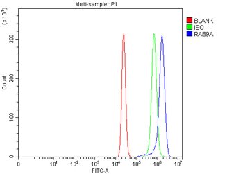 Rab9/RAB9A Rabbit Polyclonal Antibody