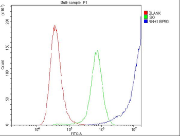 Ribonuclease Inhibitor/RNH1 Rabbit Polyclonal Antibody