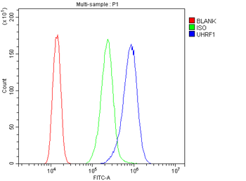 UHRF1 Rabbit Polyclonal Antibody