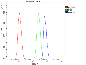 UHRF1 Rabbit Polyclonal Antibody
