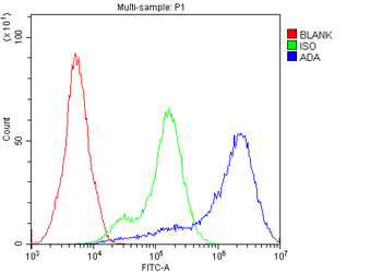 ADA Rabbit Polyclonal Antibody