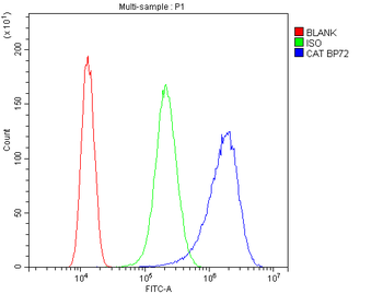 Catalase Rabbit Polyclonal Antibody