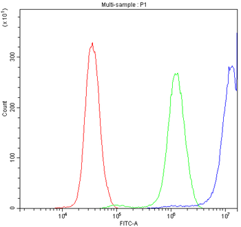 CCT3 Rabbit Polyclonal Antibody