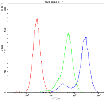 Factor I/CFI Antibody