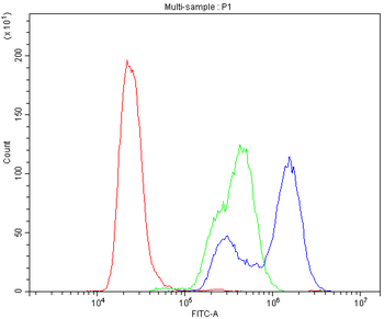 Carbonic Anhydrase II/CA2 Rabbit Polyclonal Antibody