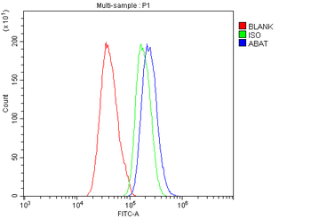 ABAT Rabbit Polyclonal Antibody
