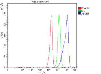 ABCE1 Antibody
