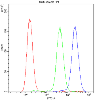 ADO Rabbit Polyclonal Antibody