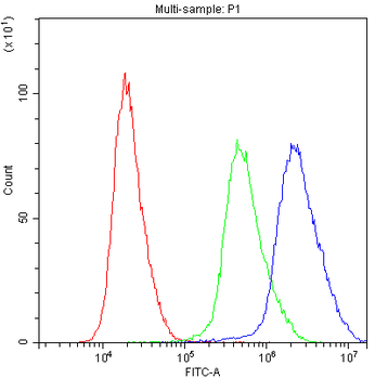 ADO Rabbit Polyclonal Antibody