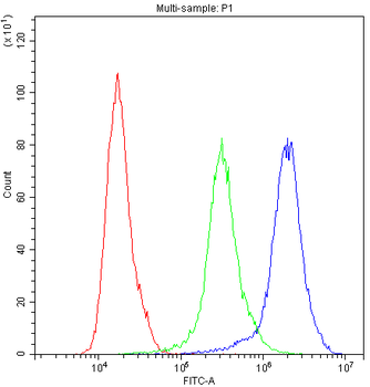 ADO Rabbit Polyclonal Antibody