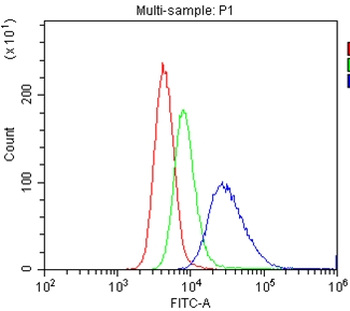 CD40 Rabbit Polyclonal Antibody