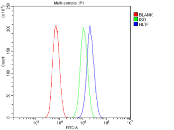 HLTF Rabbit Polyclonal Antibody