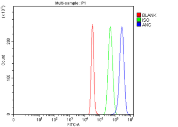 Angiogenin/ANG Rabbit Polyclonal Antibody