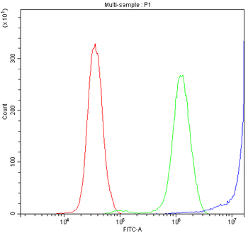 Diazepam Binding Inhibitor/DBI Rabbit Polyclonal Antibody