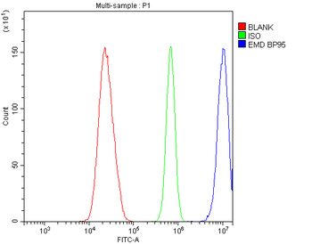 Emerin/EMD Rabbit Polyclonal Antibody