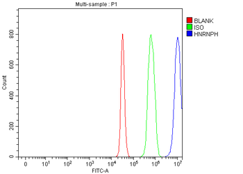 HnRNP H/HNRNPH1 Antibody