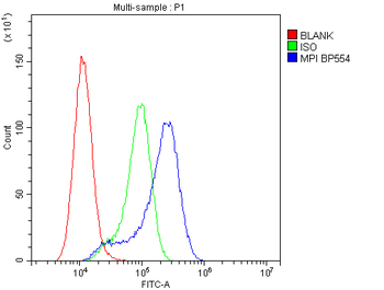 Mannose Phosphate Isomerase/MPI Rabbit Polyclonal Antibody