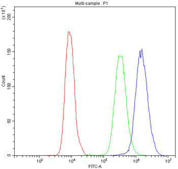 Nucleoside phosphorylase/PNP Antibody