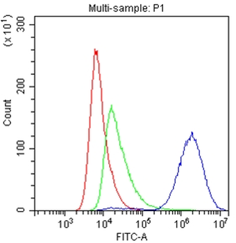 CD147/Emmprin/BSG Antibody
