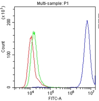 CD147/Emmprin/BSG Antibody