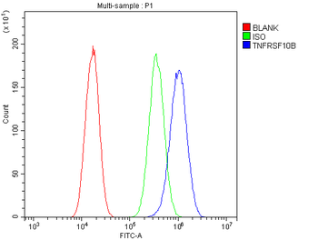 DR5/TNFRSF10B Antibody
