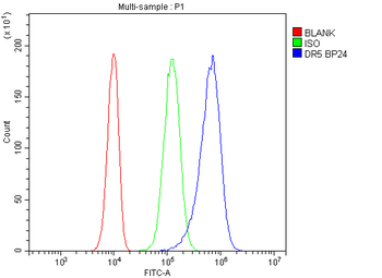 DR5/TNFRSF10B Antibody