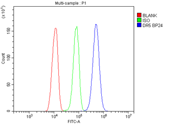 DR5/TNFRSF10B Antibody