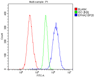 Eph receptor A2/EPHA2 Antibody