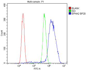 Eph receptor A2/EPHA2 Antibody