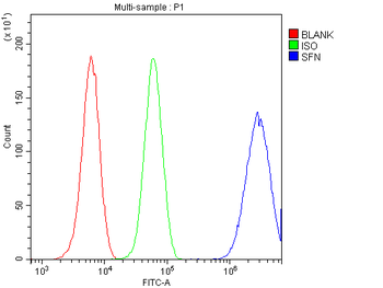 14-3-3 sigma/SFN/14 Rabbit Polyclonal Antibody