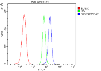 CD16/FCGR3A Antibody