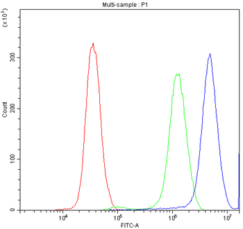Synaptotagmin 1/SYT1 Antibody