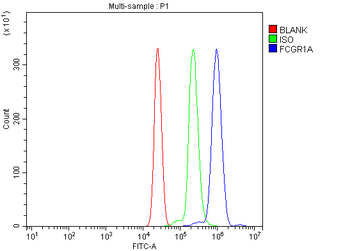 FCGR1A Rabbit Polyclonal Antibody