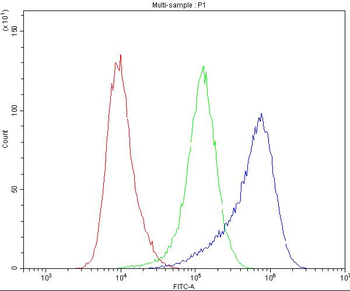 Dynamin 1/DNM1 Rabbit Polyclonal Antibody