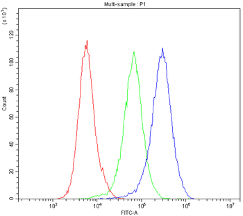 Dynamin 1/DNM1 Rabbit Polyclonal Antibody