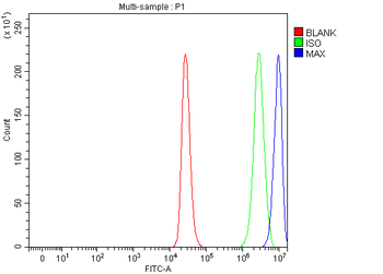 MAX Rabbit Polyclonal Antibody
