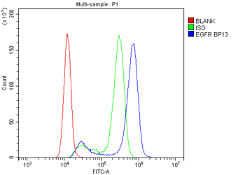 EGFR Rabbit Polyclonal Antibody
