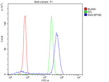 Ran Rabbit Polyclonal Antibody