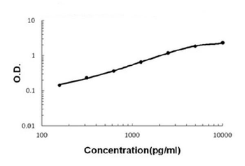 IGFBP3 Rabbit Polyclonal Antibody