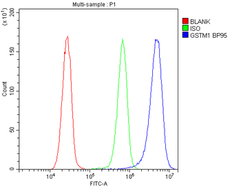 GSTM1 Rabbit Polyclonal Antibody